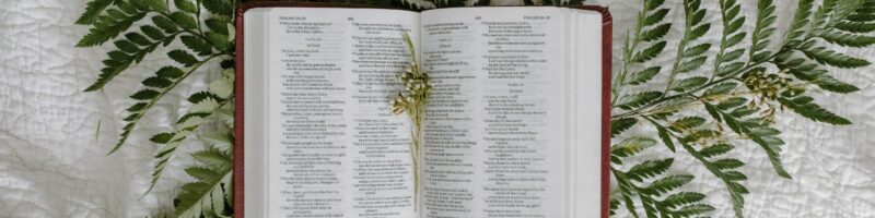 Bible with ferns